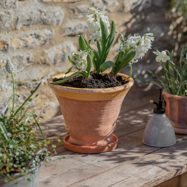 Coln Planter