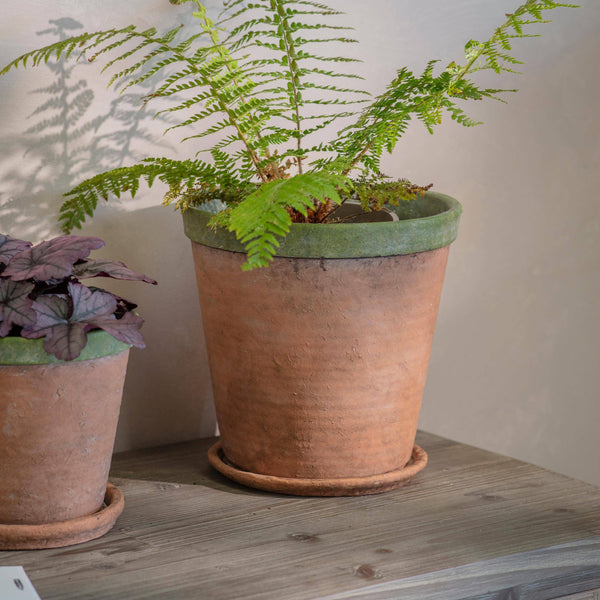 Kingsley Planter