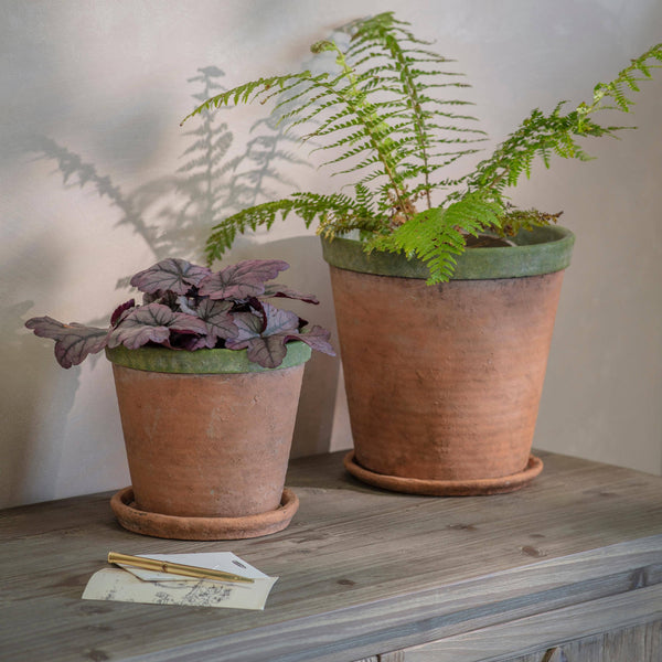 Kingsley Planter