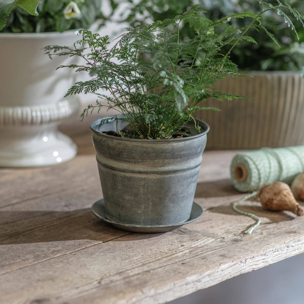 Hawthorn Heritage Pot Planter