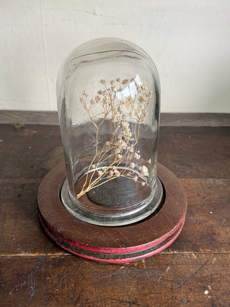 Vintage Wooden & Glass Display Dome