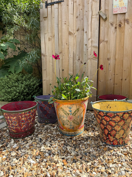 Handpainted Metal Bucket Planters