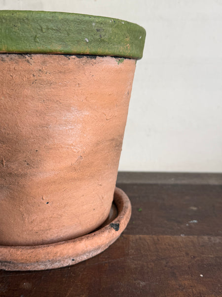 Kingsley Planter