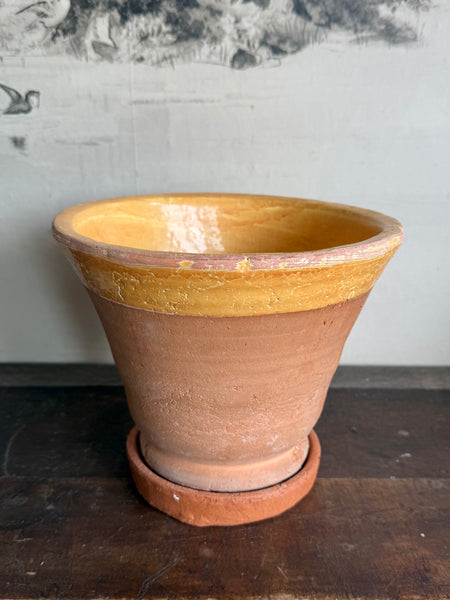 Coln Planter