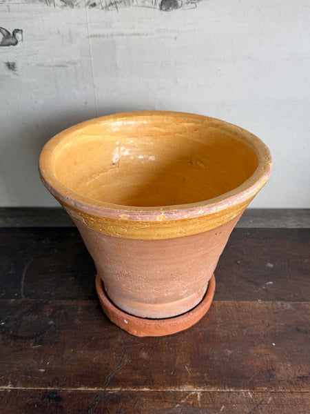 Coln Planter