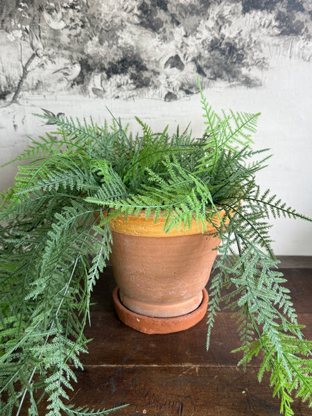 Coln Planter
