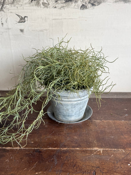 Hawthorn Heritage Pot Planter