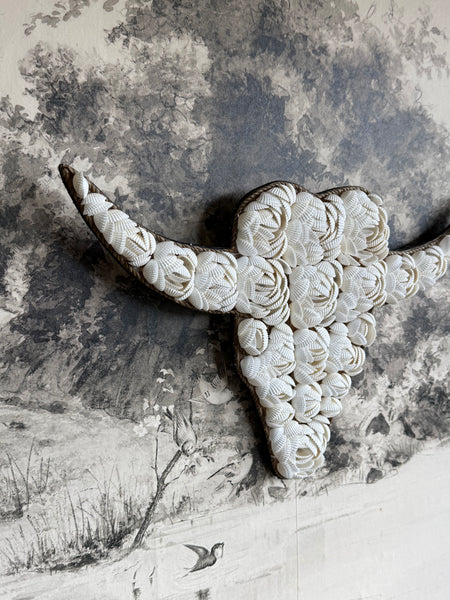The Bull Shell - White