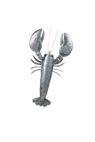 Lobsterboy Wall Art