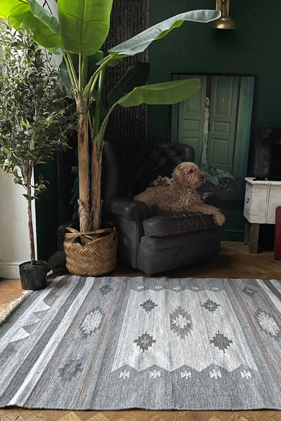 Indoor/Outdoor Recycled Kilim Rug